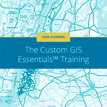 Custom-GIS-Essentials-Training-Product-Photo